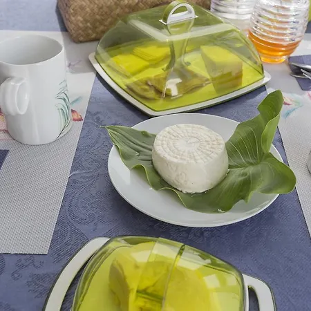 Casa Do Campo - A Minha Casa 팜스테이 *