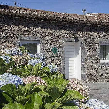 Farm stay Casa Do Campo - A Minha Casa Capelas